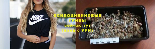 гидра Нефтекумск