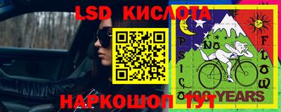 прущие грибы Северобайкальск