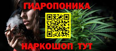 прущие грибы Северобайкальск