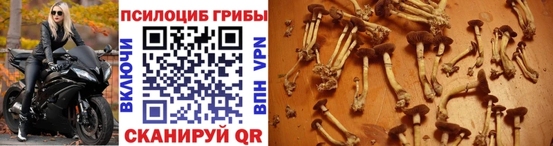 Галлюциногенные грибы ЛСД  наркотики  Ростов-на-Дону 