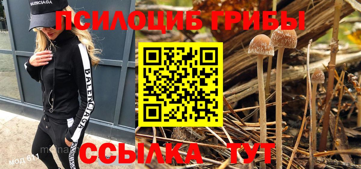 Псилоцибиновые грибы Magic Shrooms Ростов-на-Дону