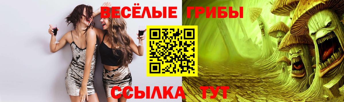 Галлюциногенные грибы Psilocybine cubensis  Галлюциногенные грибы мицелий  Вход с VPN  Ростов-на-Дону 
