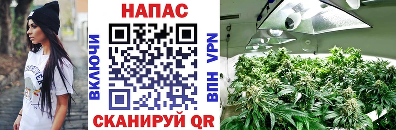 Бошки Шишки сатива  Ростов-на-Дону 